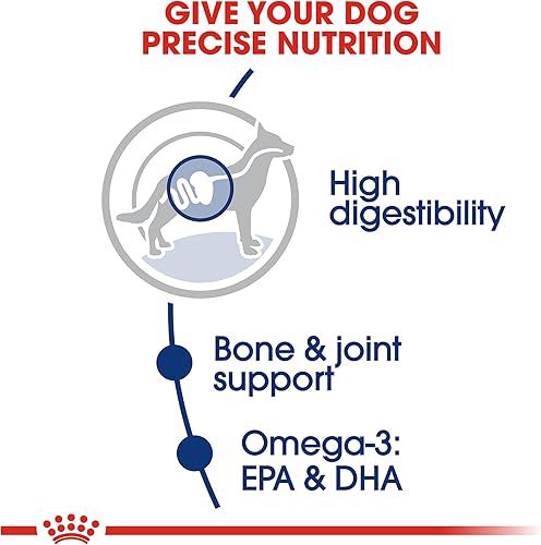 Miniatura 4 de Royal Canin Alimento seco para perros adultos de raza grande, bolsa de 30 libras