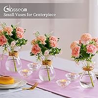 Vista 3 de Glasseam Jarrón de vidrio transparente para flores, juego de 3 jarrones de bombilla para forzar bombillas de jacinto, pequeños jarrones para centros