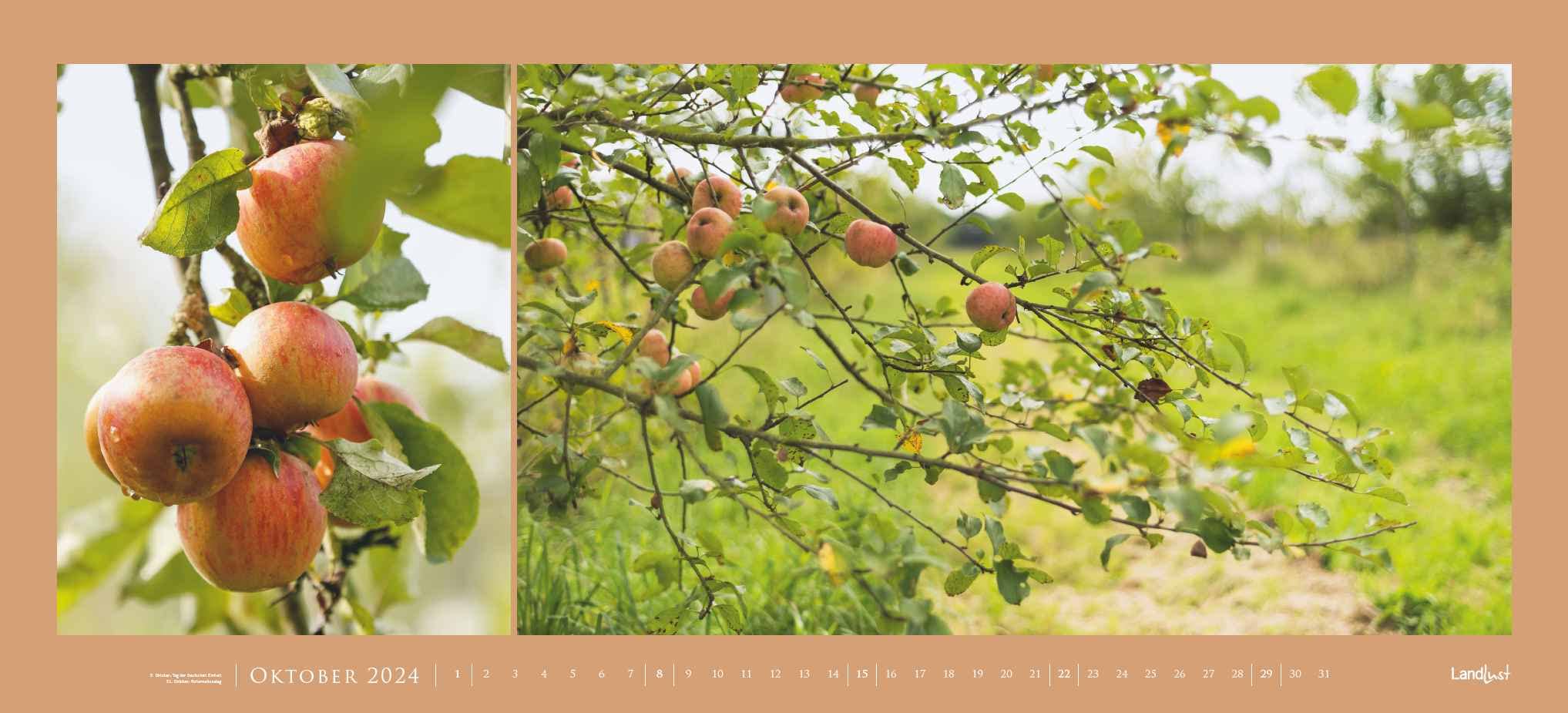 Landlust Panorama: Garten-Kontraste 2024 Wand-Kalender - Panorama-Kalender - Fotografie - Gartenkalender 110x50
