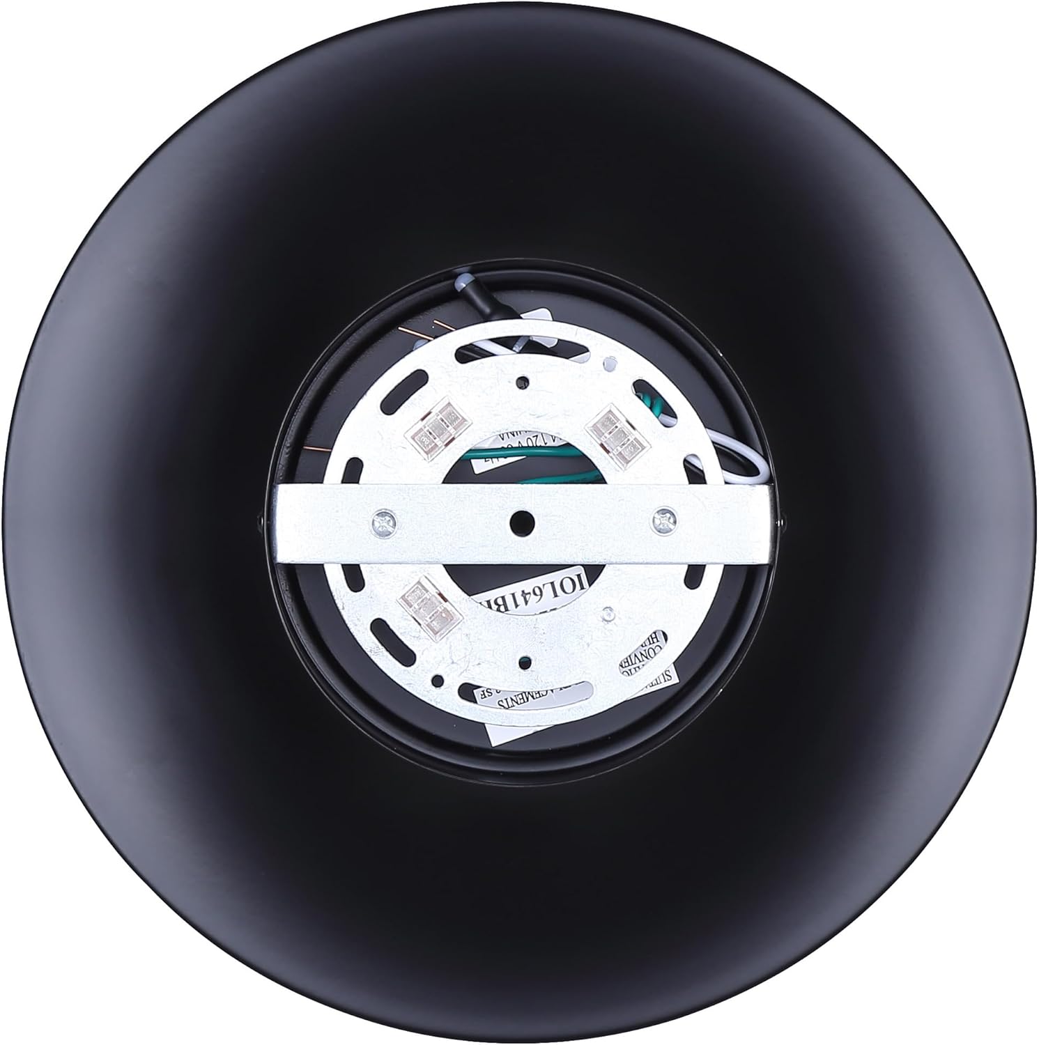 Canarm Baylor 1-Light Outdoor Ceiling Light, Matte Black with Round Opal Glass Shade, Ideal for Patios, Entryways, and Porches