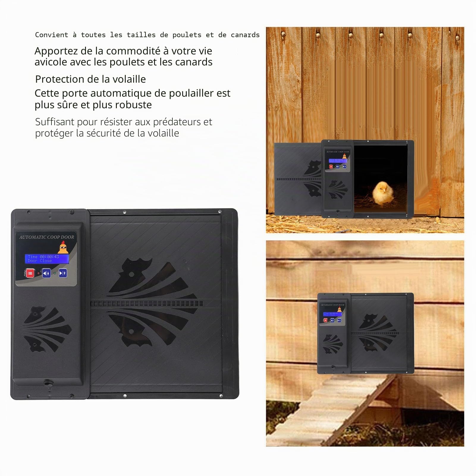 Porte Automatique USB pour Poulailler avec Minuterie LED, Programmable, Noir, pour Sécurité des Poulets et Canards