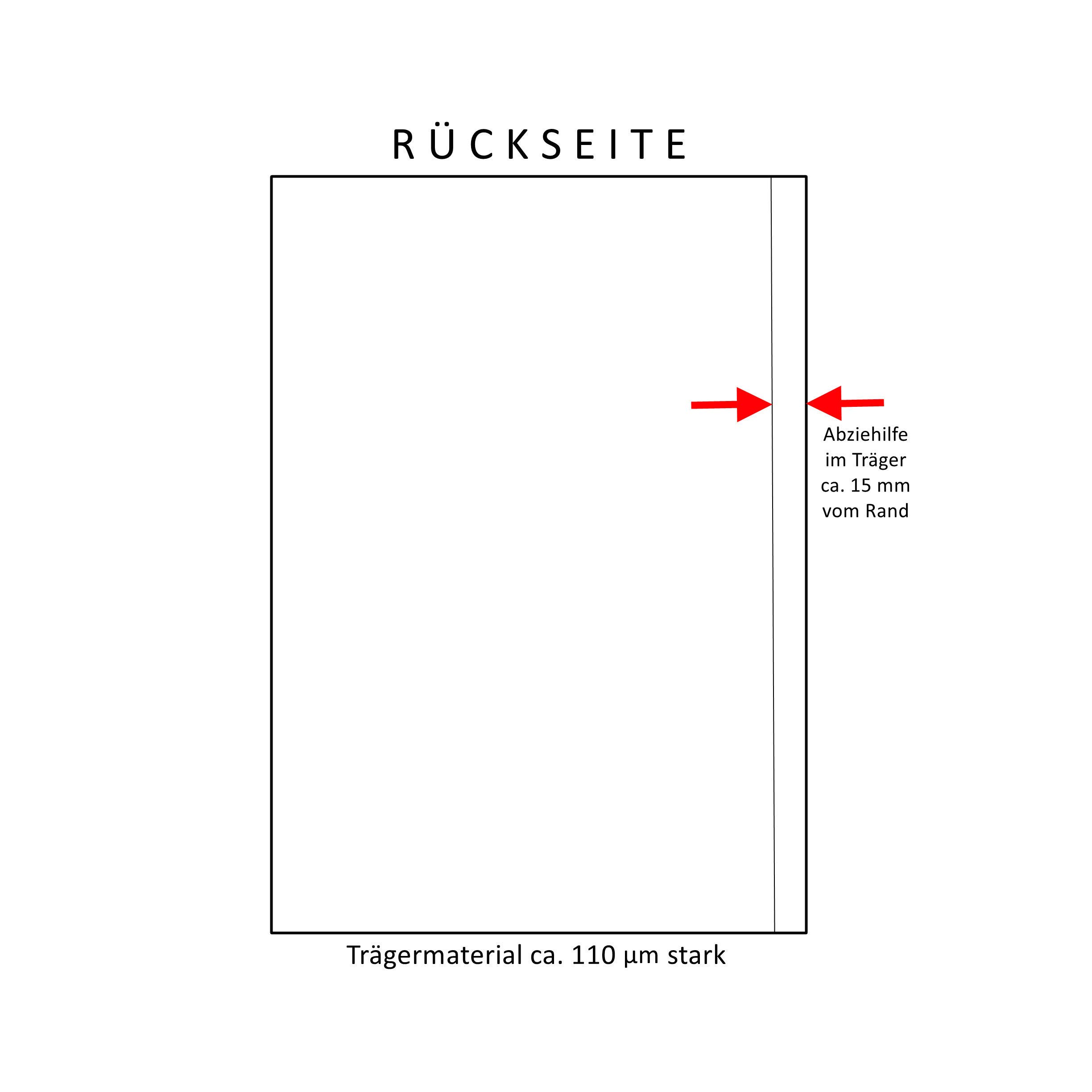 Etichette adesive impermeabili, 20 DIN A4, 210 x 297 mm B