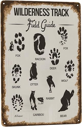 Miniatura 17 de Letrero de hojalata de guía de aviación de 8 x 12 pulgadas, arte de pared de metal retro para colgar oficina, piloto y decoración de aula de