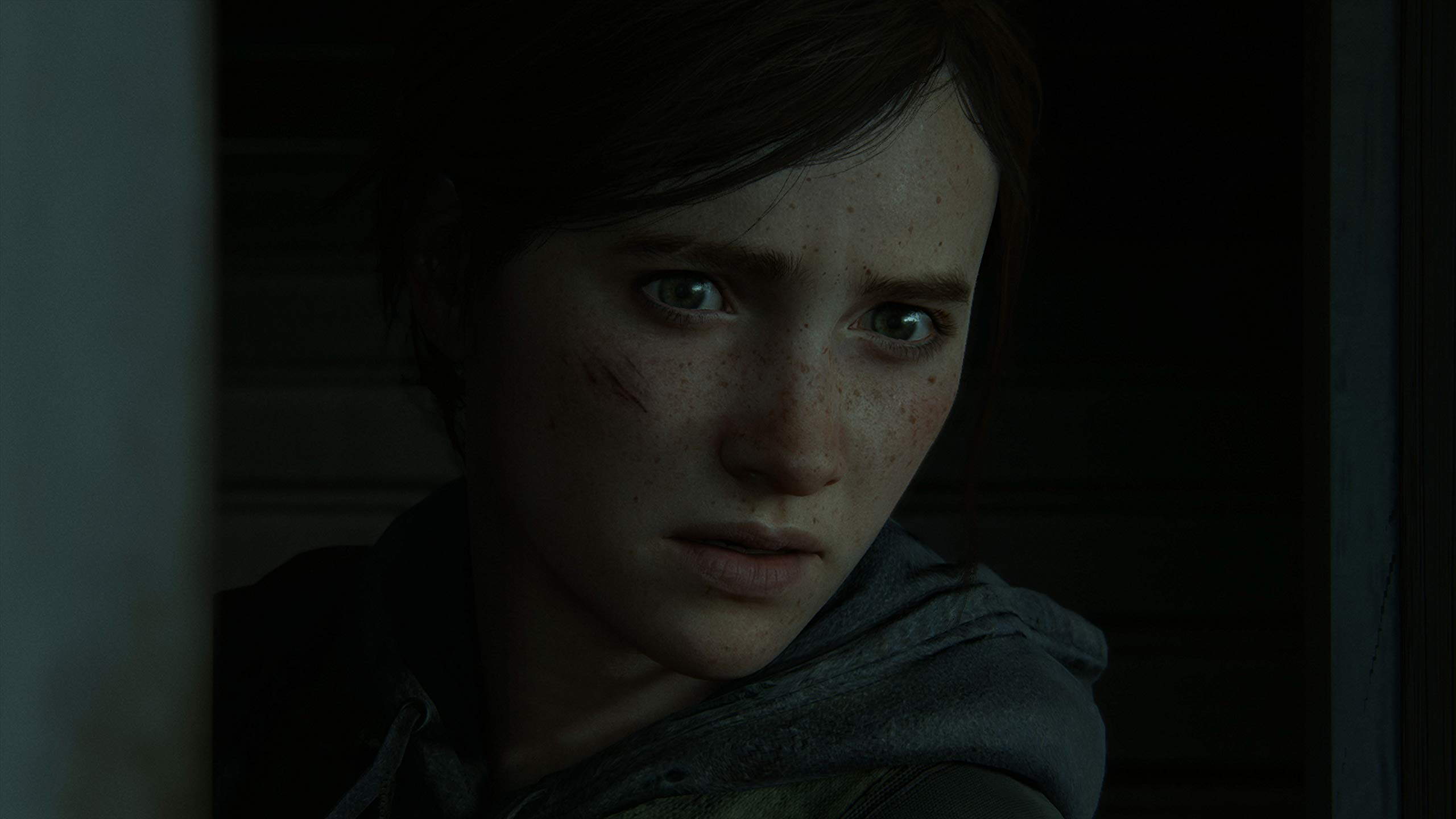 Playstation The Last of Us Parte II