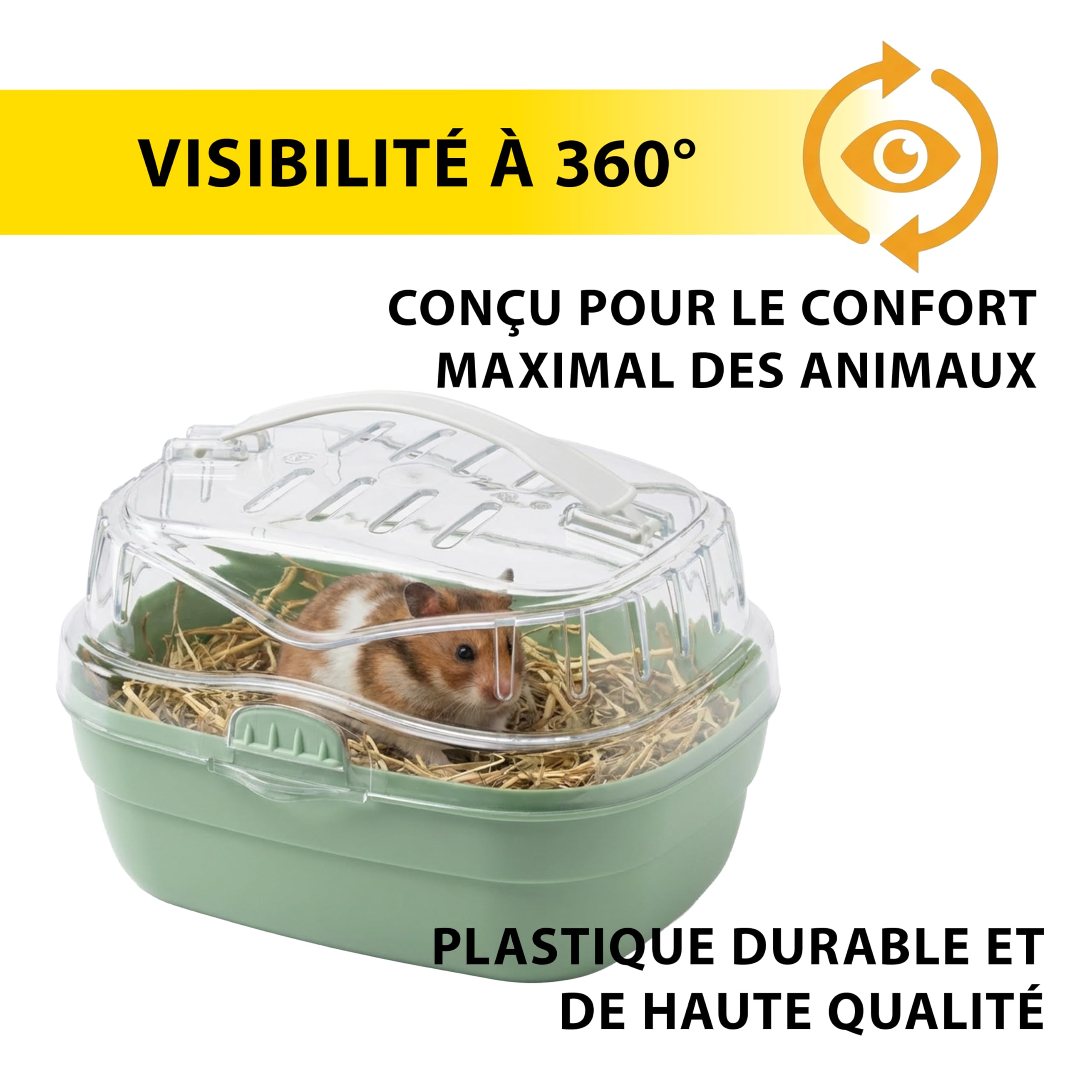 Ferplast Transport pour Hamsters et Autres Petits rongeurs ALADINO Small Cage de Transport pour Petits Animaux, rongeurs, Hamsters, 20 x 16 x h 13,5 cm, Vert