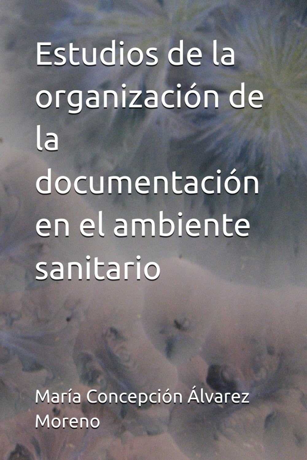 Estudios de la organización de la documentación en el ambiente sanitario