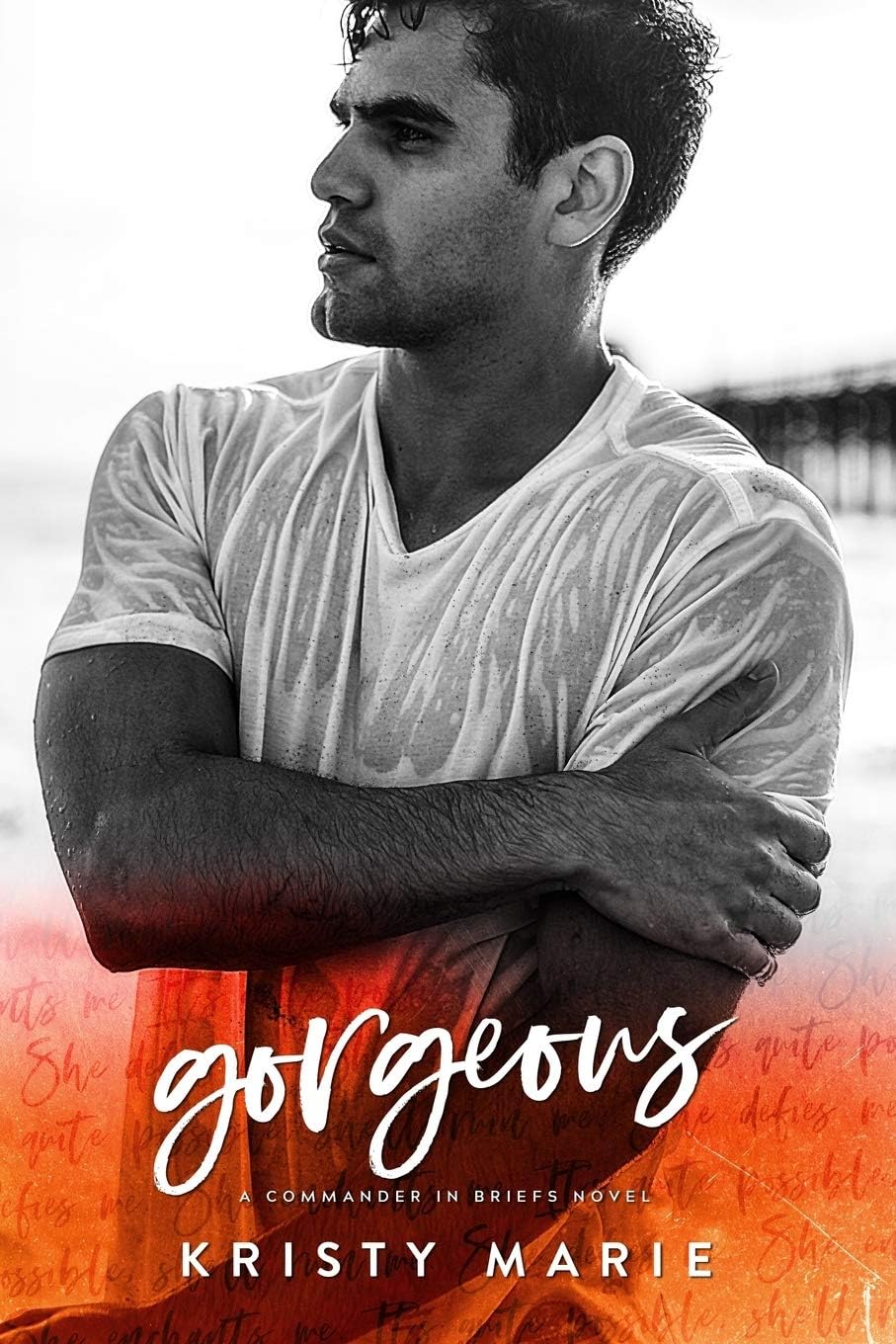 Gorgeous: An enemies to lovers stand-alone. (Commander in Briefs)
