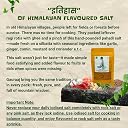 Gauraaj Handgrounded Cumin Flavored Salt – 100g | Organic Himalayan Pahadi Pisyu Loon Seasoning/Jeera Namak | Low Sodium & Full Flavor | No Preservatives & Chemical Free | Sourced from Uttarakhand gallery image