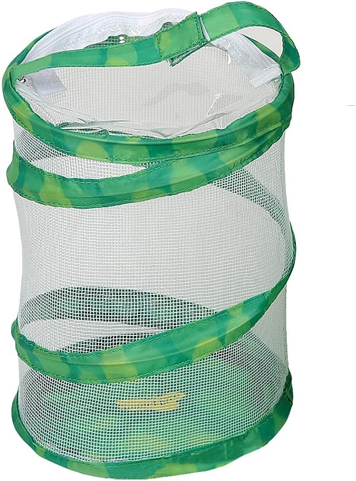 Insect Lore Mini Butterfly Habitat | Clear Mesh, Zipper, 8” Tall | Pop Up Folds Flat | Habitat for Most Insects