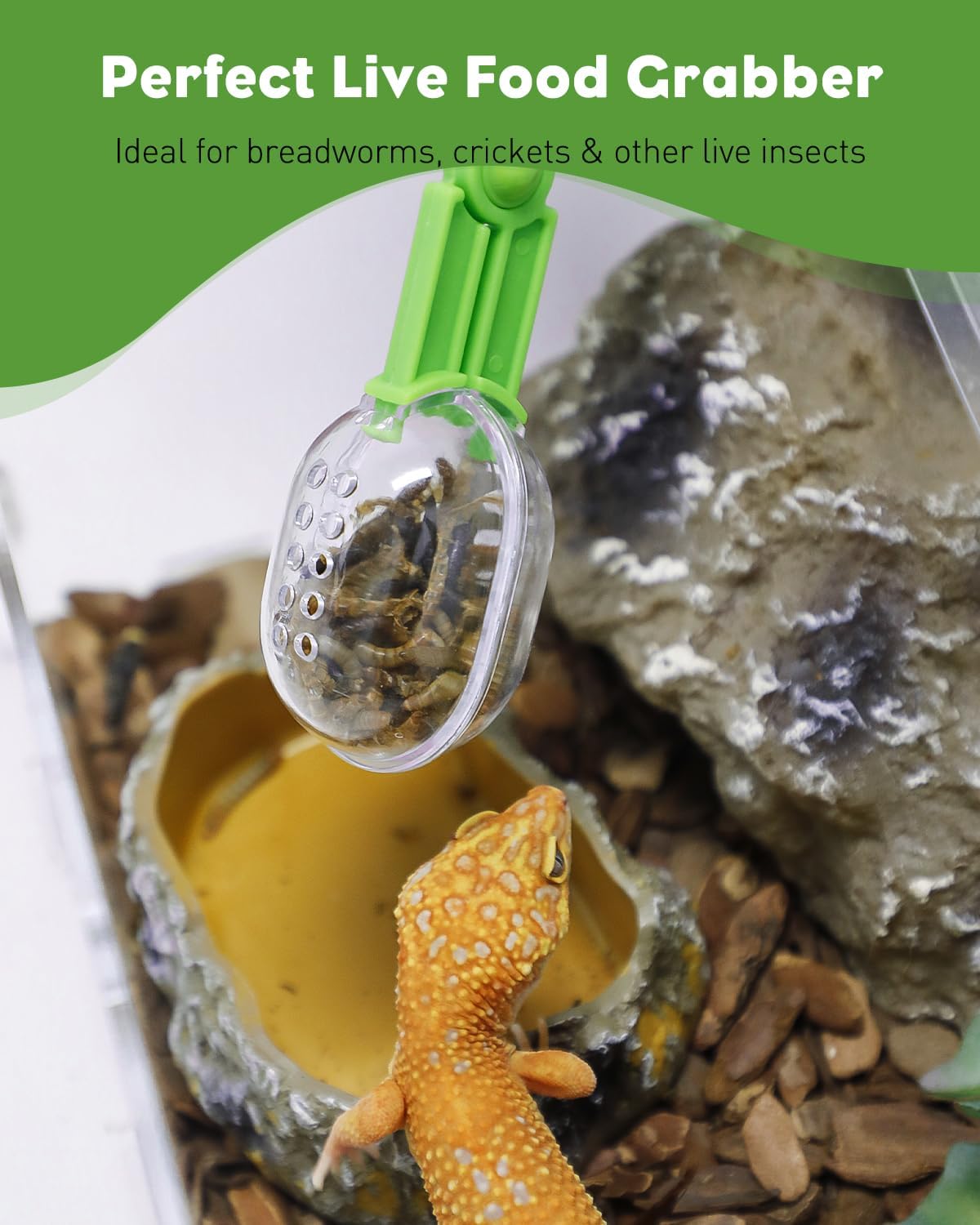 Pawfly 3 Pack Reptile Feeding Clamp, Bug Scooper, Plastic Reptile Poop Scoop, Terrarium Reptile Feeding and Cleaning Tools for Lizard Bearded Dragon Gecko Snake, 3 Colors