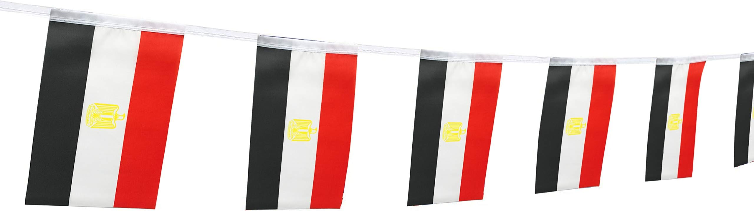 Kind GirlEgypt Flag Egyptian Flag,100Feet/76Pcs National Country World Pennant Flags Banner,Party Decorations Supplies for Olympics,Bar,Indoor and Outdoor Flags,International Festival