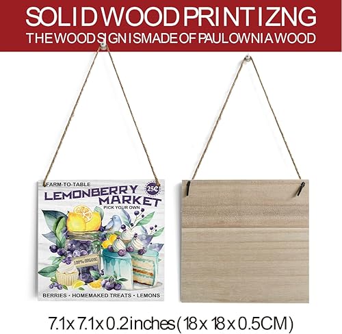 Miniatura 2 de HTBIG Decoración de verano, decoración de limón y arándanos, decoración para colgar en la pared del hogar, puerta delantera, porche, cocina,