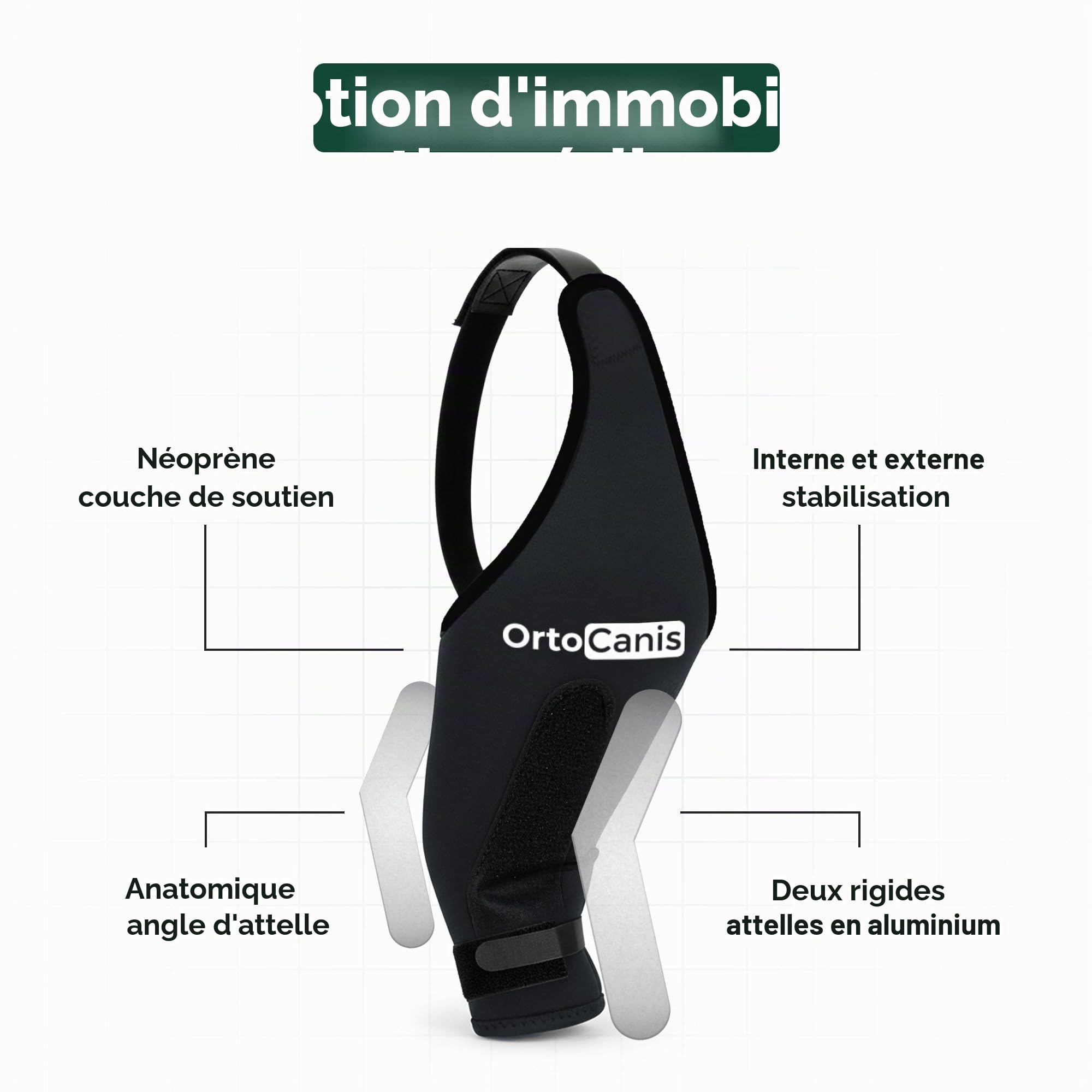 Ortocanis - Attelle Chien - Immobilisateur Genou pour Blessure - Rupture Ligament - Luxation Rotule - Patte Gauche - Taille L