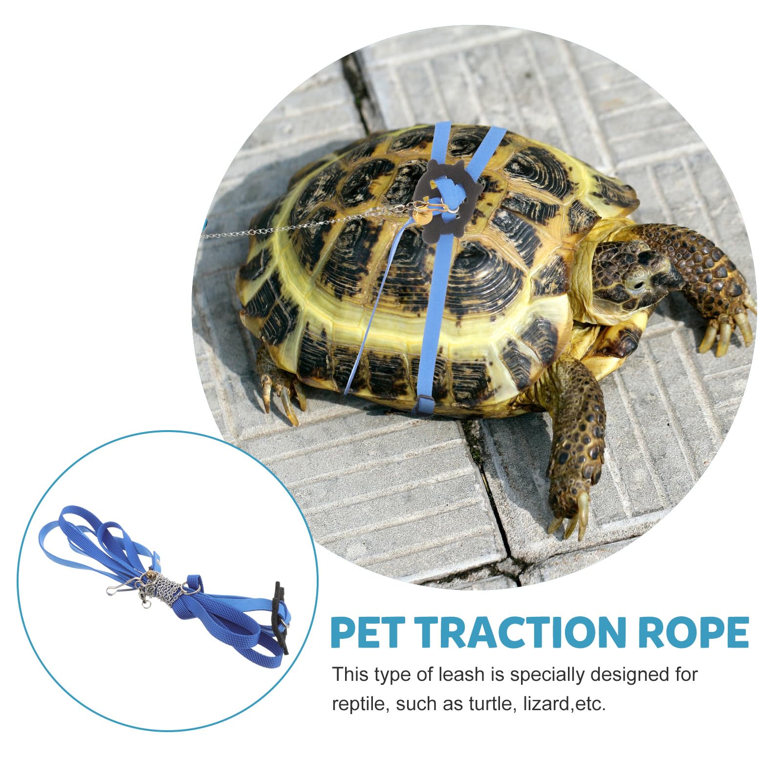Turtle Harness And Leash With Wings- Tortoise Harness Strap Adjustable ...