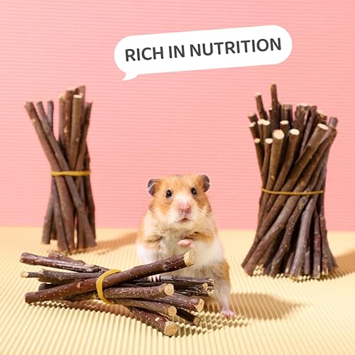 Miniatura 7 de XLpeixin Palitos de manzana naturales masticables y golosinas para Chinchilla, conejillo de indias, hámster, jerbo, conejo, juguetes masticables