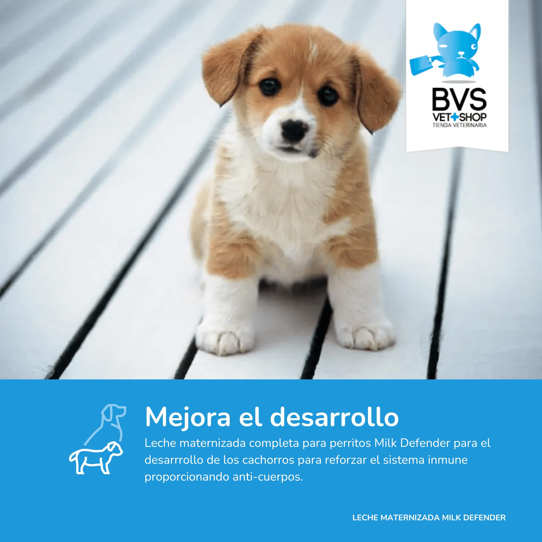BVS Vet Shop | Leche Maternizada para Perros Milk Defender | Alimento Completo de Lactancia para el Cuidado Integral de Perros Cachorros | 1 unid. x 420 gr
