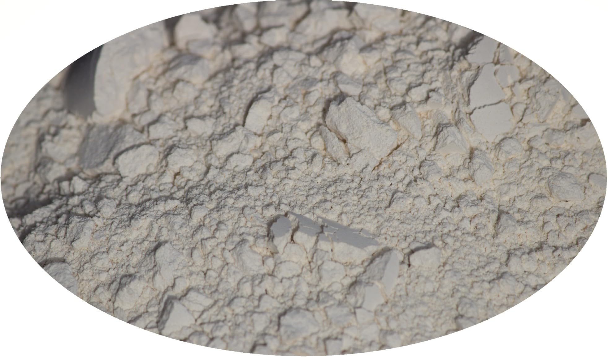Eder Gewürze - Poudre de la racine du raifort - 1kg