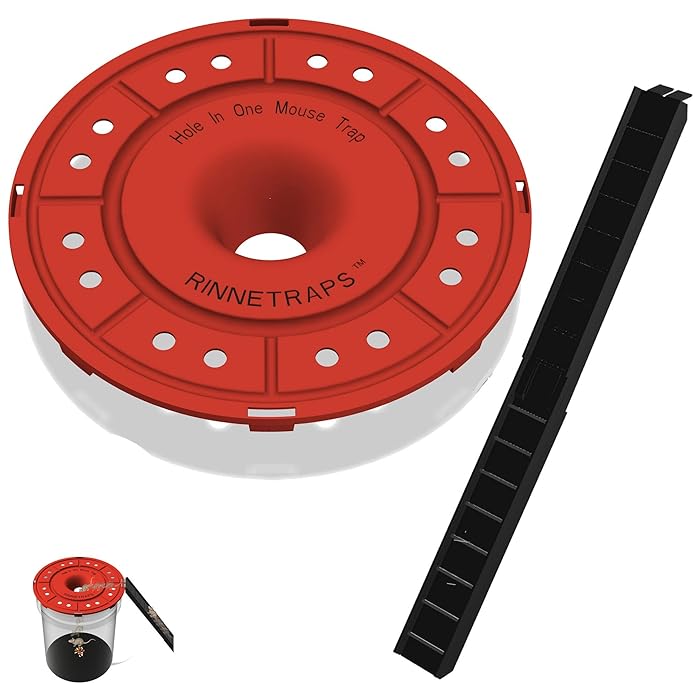 Buy RinneTraps- Hole in One Mouse Trap |Humane or Lethal| |Reusable ...