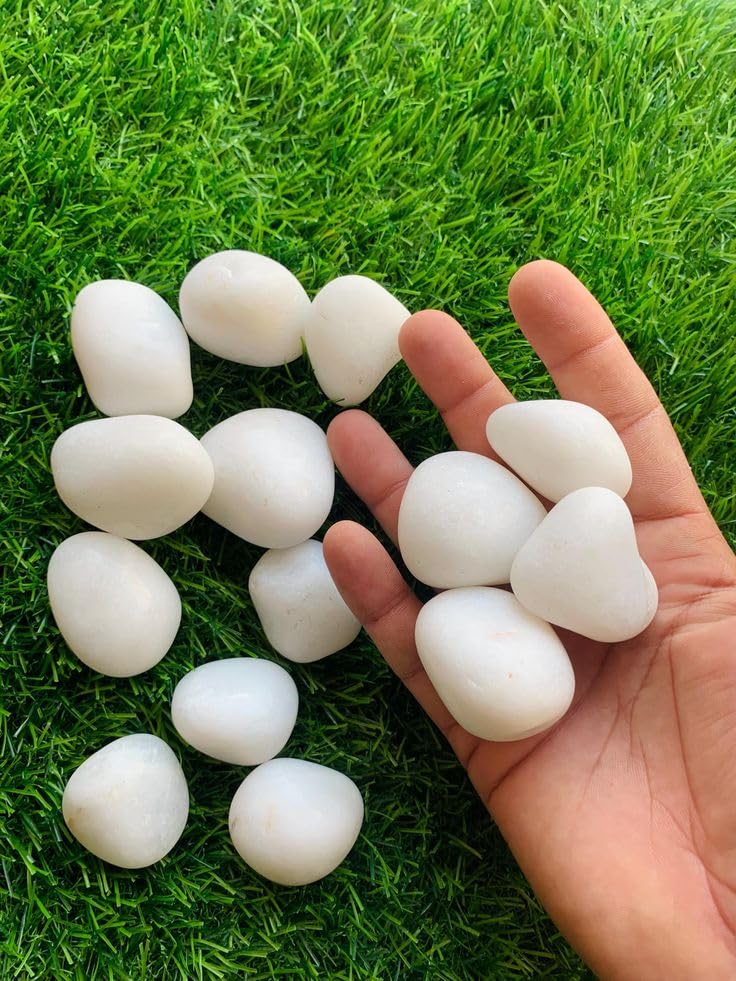 Ikanha White Polished Pebbles (5, Kilograms)-picture-28