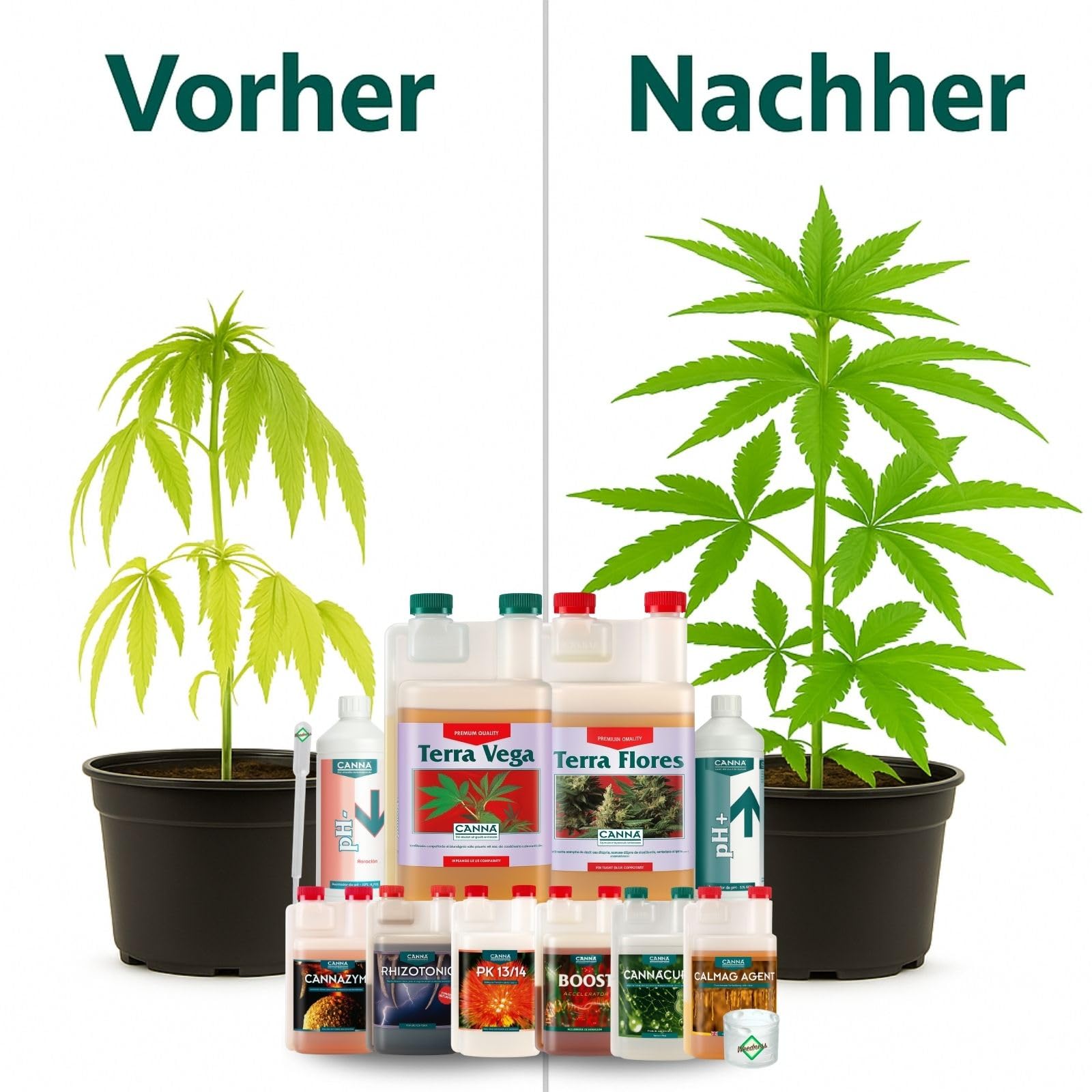 Weedness Canna Terra Prof. 50 L ERDSET All-Star Extrem – Engrais terreau All-Star Extrême