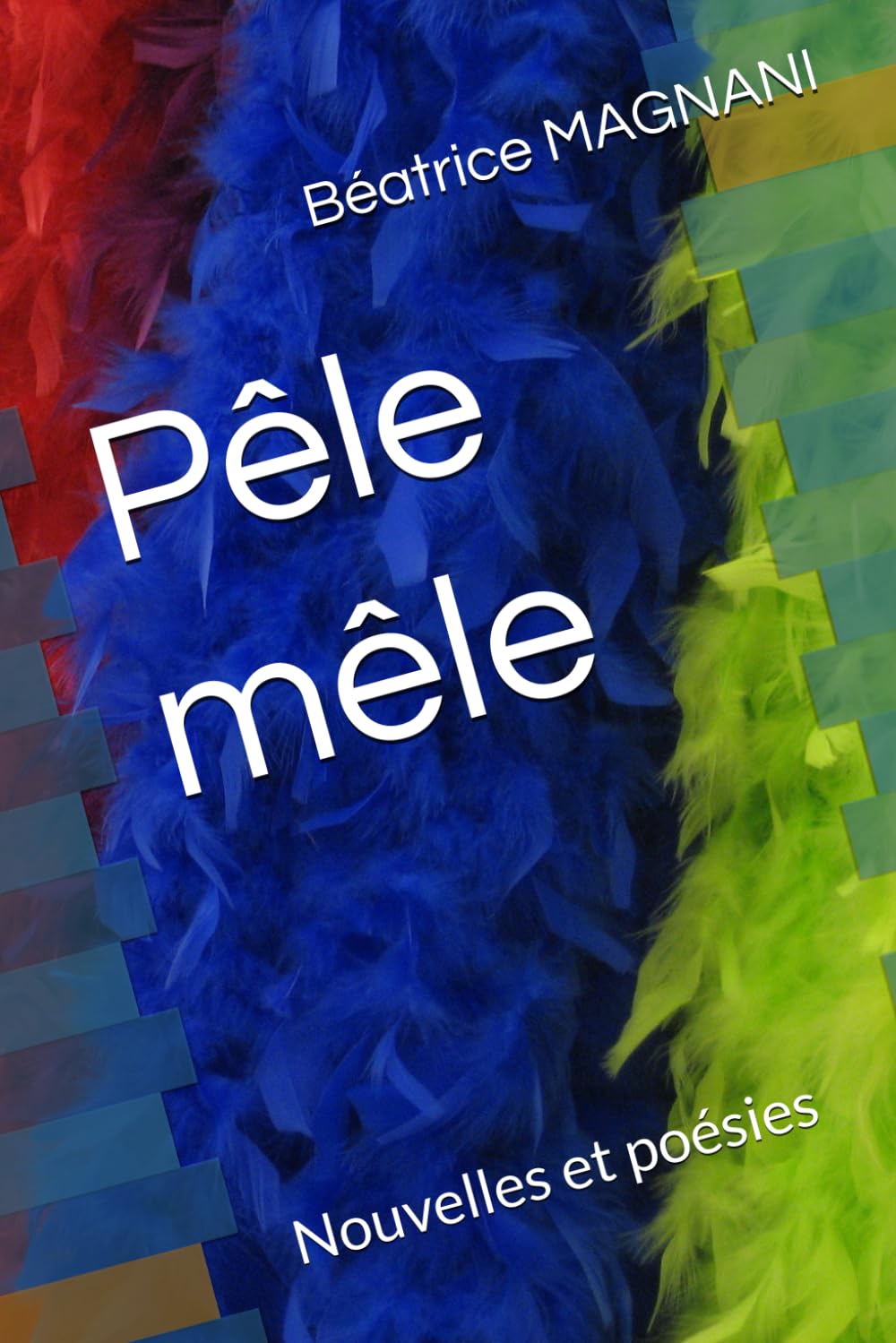Pêle mêle: Nouvelles et poésies