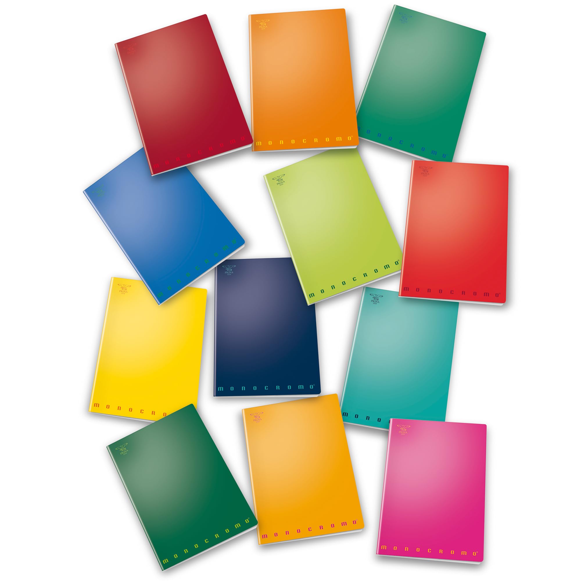 Pigna 8005235155954 Notebook Maxi (A4) Line Style 10 Inches Large Squares for Elementari Notebooks, Multicoloured