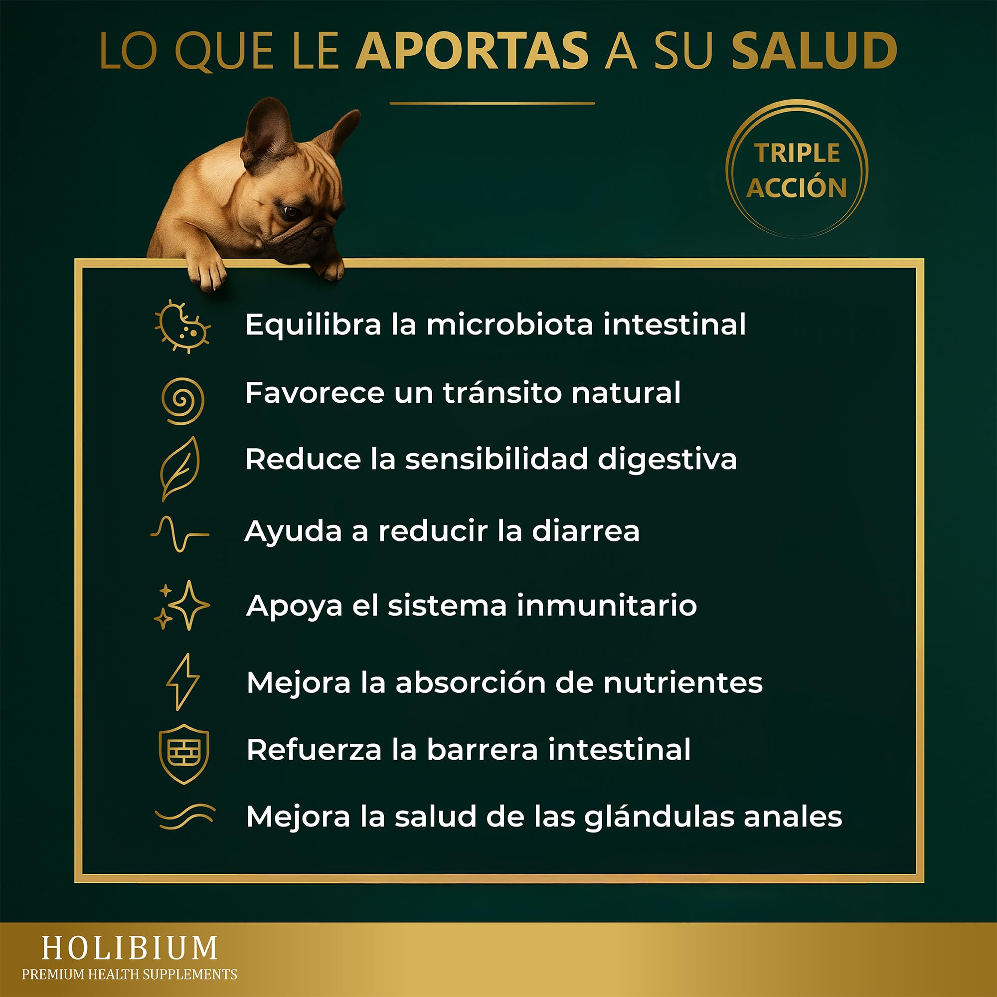 HOLIBIUM Probioticos Perros, 120 uds, Prebióticos, Postbióticos y Probióticos Naturales, Mejora Digestión, Diarrea y Heces Blandas, Suplemento Digestivo Canino para la Flora Intestinal, Sabor Pollo - 4
