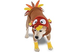 Pawsitively Adorable: A Perfect Thanksgiving Disguise for Your Furry Friend