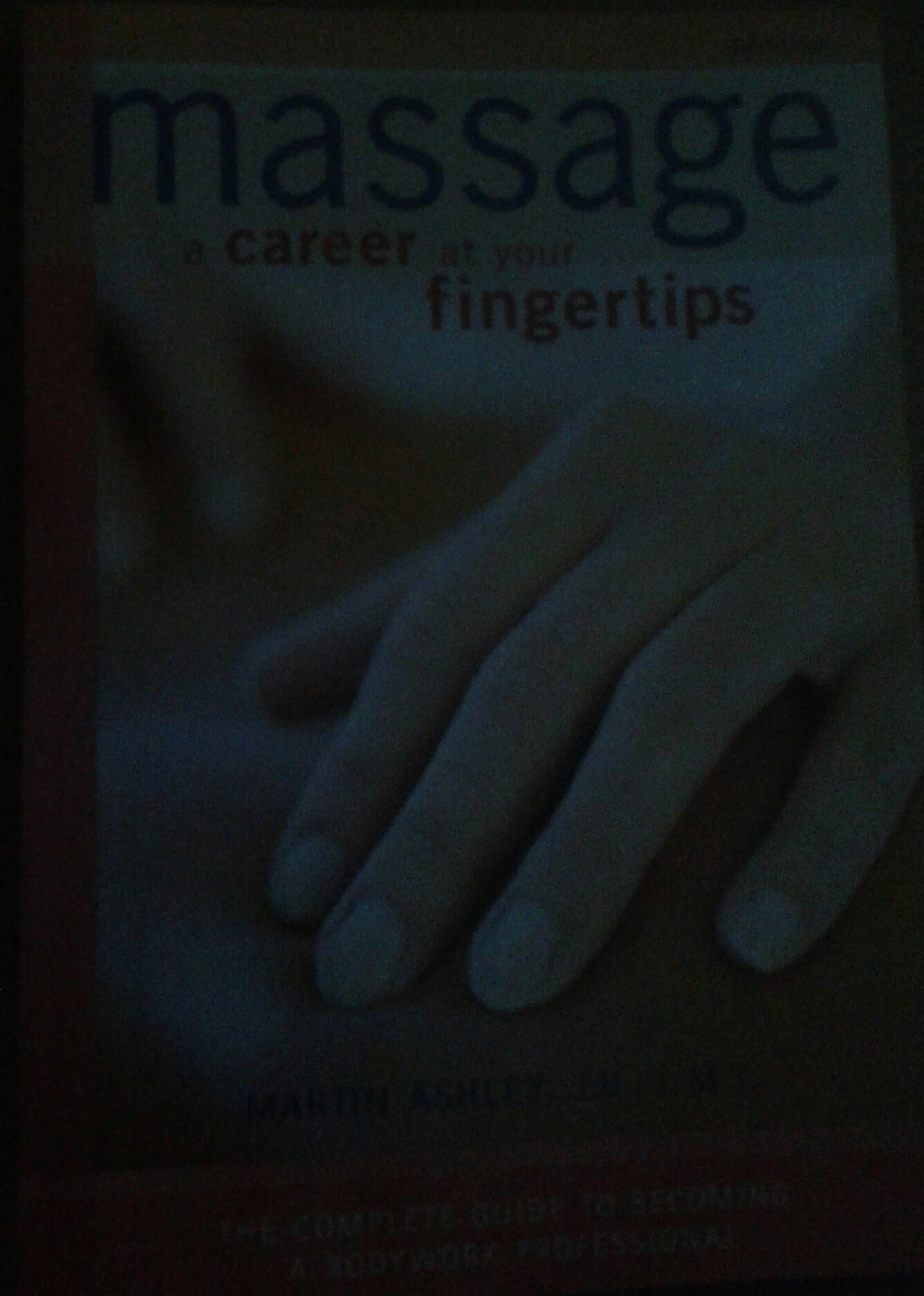 Buy Massage: A Career At Your Fingertips, The complete Guide to Becoming A Bodywork Professional — BookShops.in