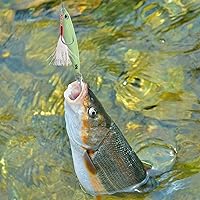 Vista 14 de Fishing Jigs Metal Fishing Spoons Lures, Blade Bait Spinner Long Casting Jigging Spoon Lure Vertical Hard VIB Swimbait for Walleye Bass Trout