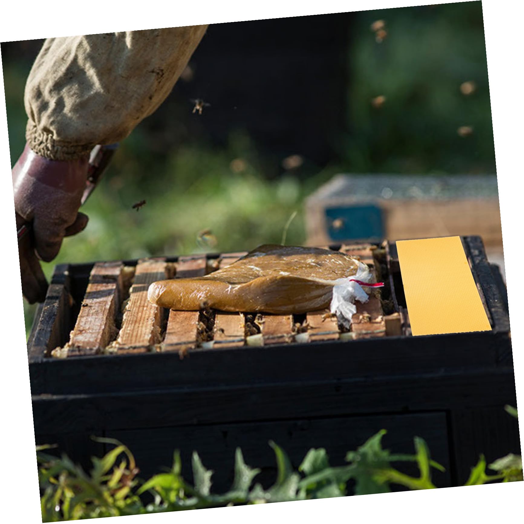 30 Pezzi Fogli Cerei per Alveari, Honeycomb Sheet, Cera D'api Gialla, , per Costruzione del Favo, Apicoltori