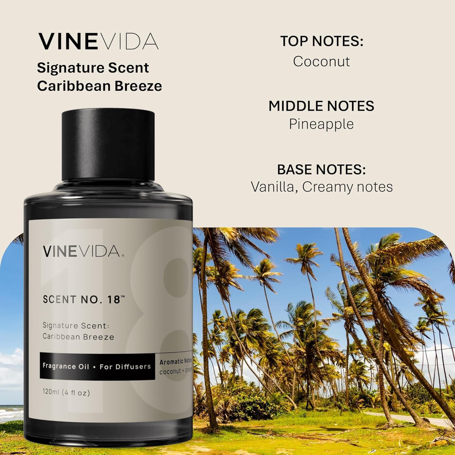 VINEVIDA Caribbean Breeze Fragrance Oil for Cold Air Diffusers - (4 Fl Oz) - Essential Oils for Diffuser Oil Refill & Air Freshener Room Spray - Image 2