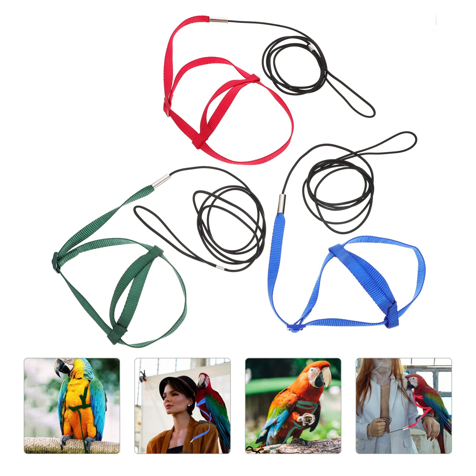 FOMIYES 12piezas Arnés Ajustable para Aves para Entrenamiento De Periquitos y De y Entrenamiento para Pájaros De Accesorios
