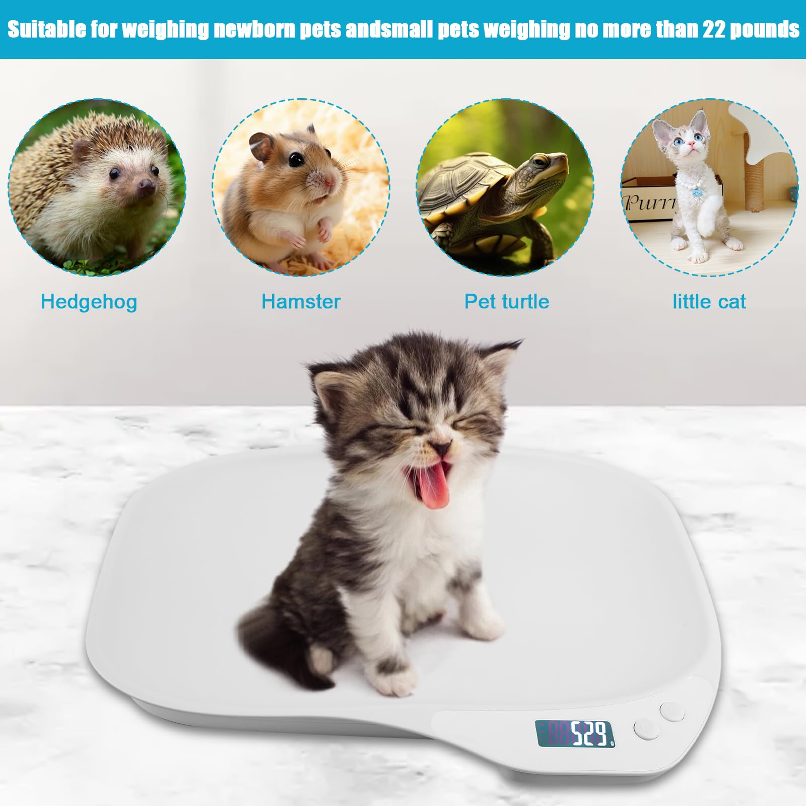 Balance numérique pour petits animaux, balance numérique pour animaux de compagnie 15 kg (±1 gramme), balance numérique pour chats LCD, mini balance avec écran LCD, balance numérique pour bébé