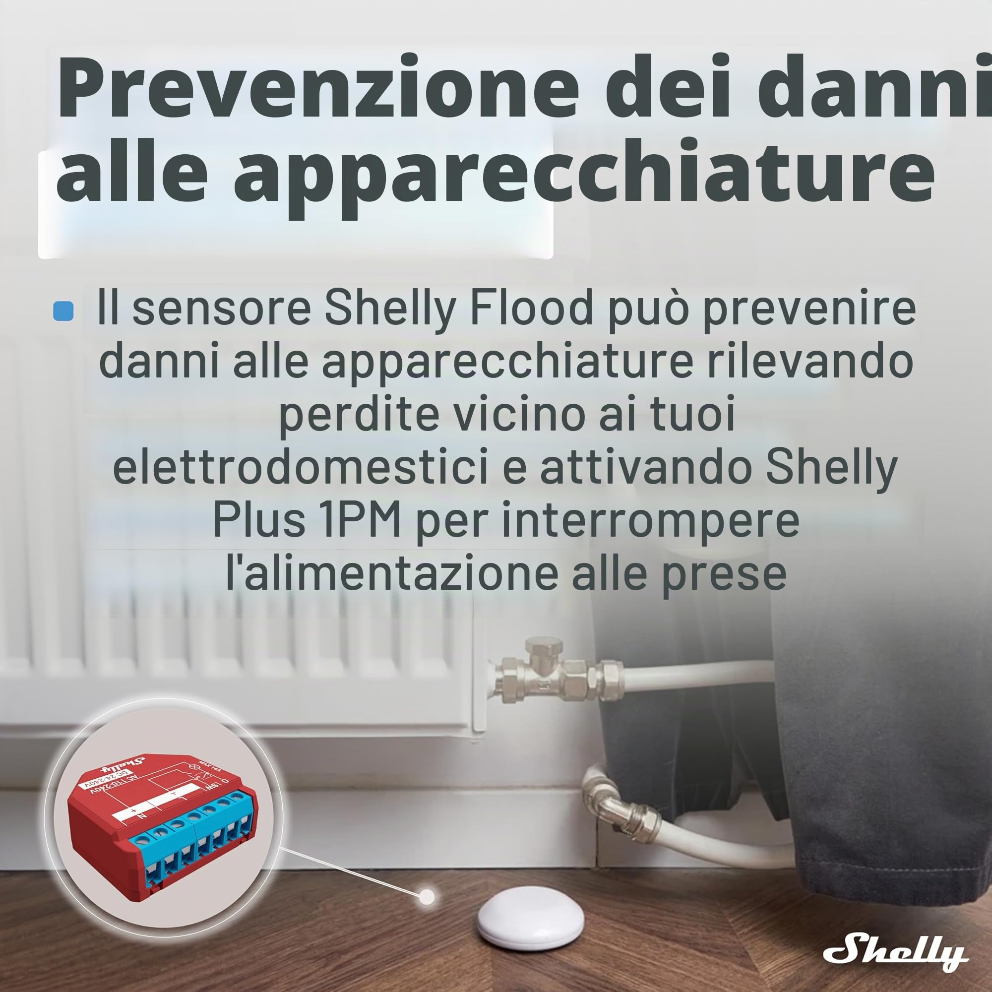 Shelly Flood, Sensore Perdita Liquidi e Sensore di Temperatura,WiFi, Smart, Compatibile con App, Notifiche immediate, Sicurezza Domestica, Durata Batteria 18 mesi, Bianco