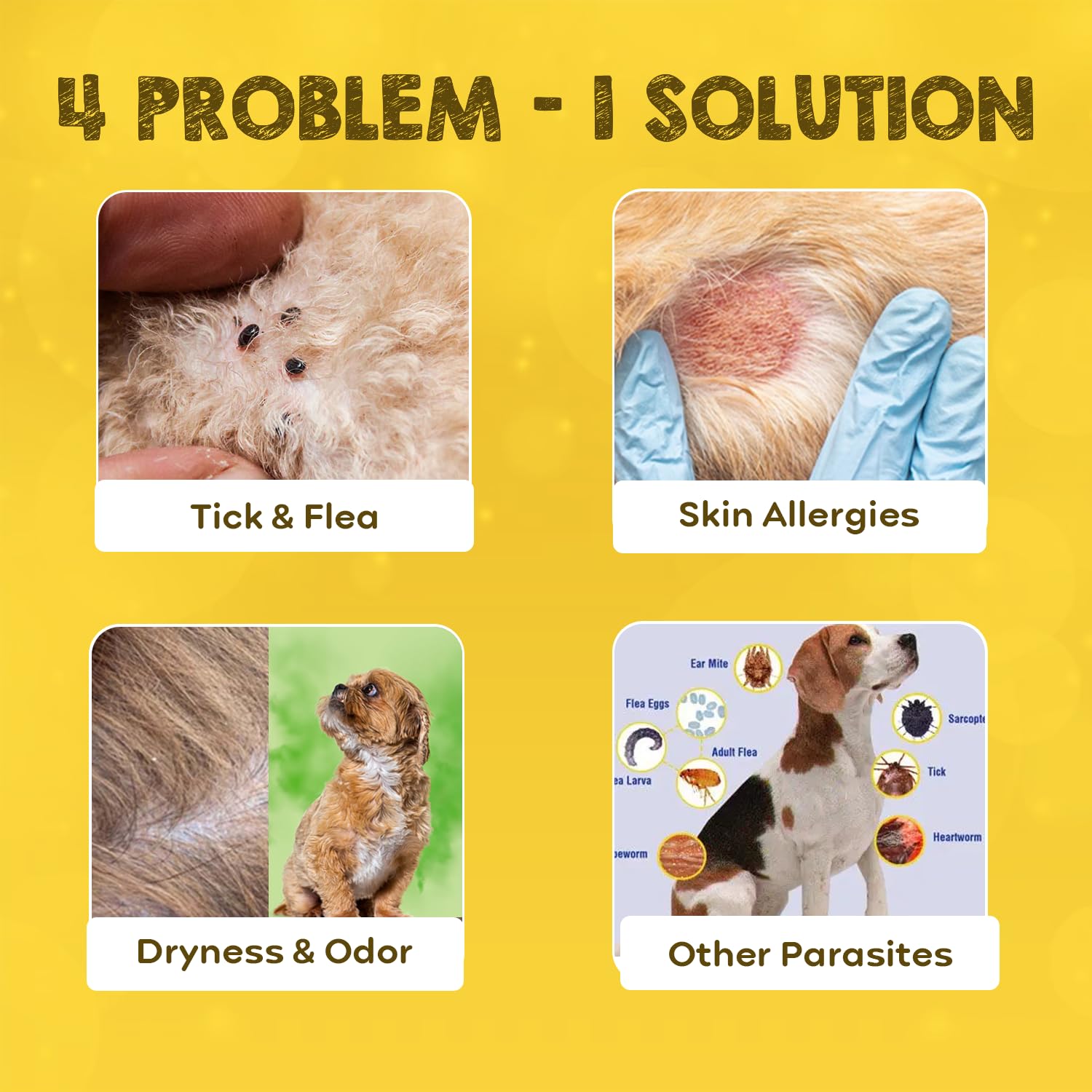 Pil Tick & Flea Dog Shampoo 200ml | Ditch to Itch Dog Shampoo for Pomeranian, Puppy, Rottweiler Adult, German Shepherd, Labrador and Golden Retriever | Medicated Pet Shampoo for Dogs 3