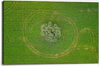 Crop Circle Canvas Wall Art Decor Framed Photo Prints Picture Poster For Bathroom Bedroom Kitchen Living Room Office Artwork Paintings 20x30