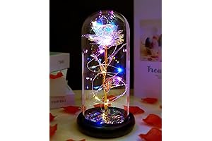 Birthday Gifts for Women: Enchanting Light-Up Galaxy Rose in a Glass Dome