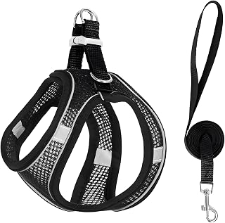 1 Set Dog Harness Small Dogs, Breathable Step-in Chest Harness Black with 1.5m Leash Neck Circumference 11-30cm