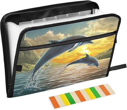 Carpeta de archivos expansible, carpetas de archivos de acordeón de 13 bolsillos con etiquetas adhesivas, organizador de documentos de papel tamaño