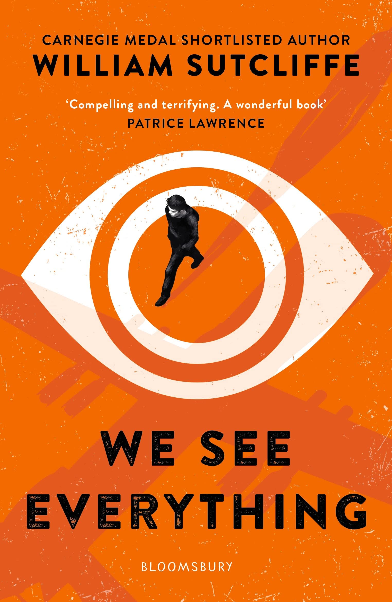 We See Everything by William Sutcliffe PAPERBACK 9781408890189