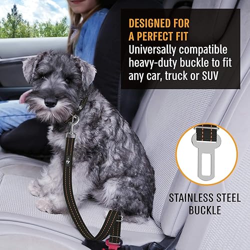 Miniatura 4 de Active Pets Arnés de automóvil para perros, paquete de 2 cinturones de seguridad para perros, para automóviles, camiones, viajes, cinturón de