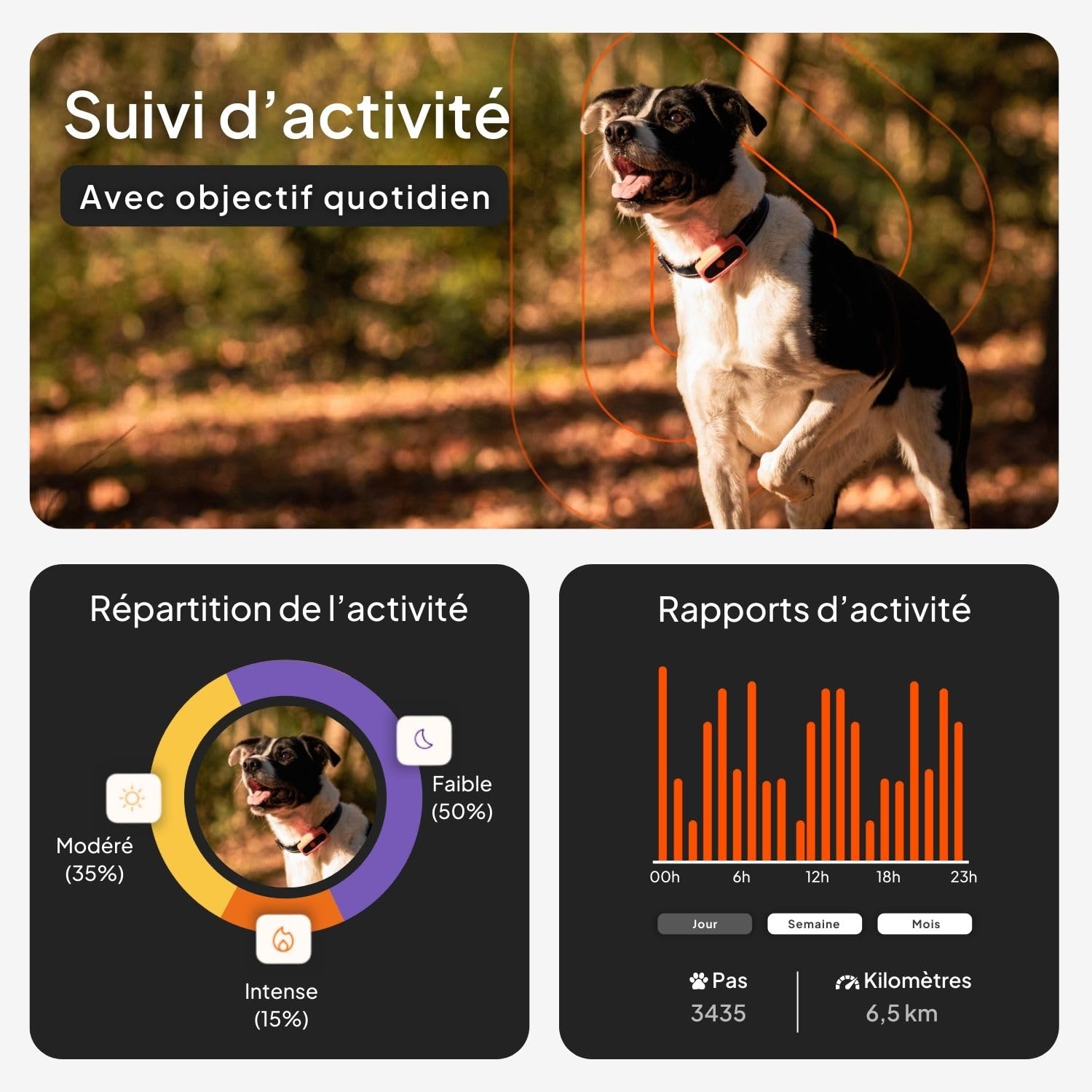 Weenect Chien XS - Mini Traceur GPS pour Chien | Suivi en Temps réel | Etanche | Plus Petit modèle du marché | Fonctionne avec abonnement | Garantie à Vie