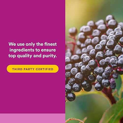 Miniatura 5 de Baya de saúco negro, 100 mg, 120 cápsulas blandas de acción rápida, Natural Factors