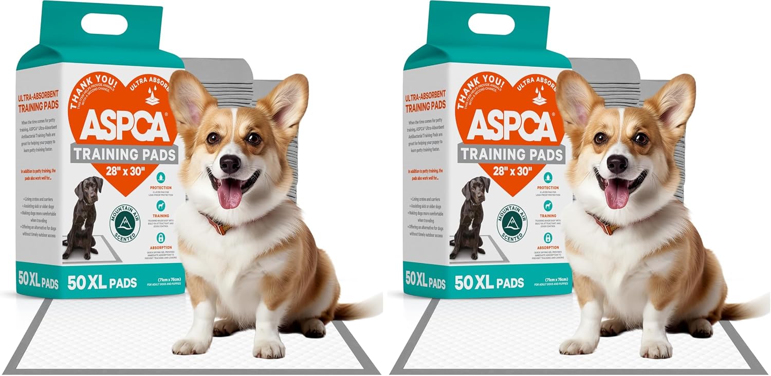 ASPCA Scented Puppy Pads, Dog Training Pee Pads, Absorbent Potty for Dogs, Quick-Drying Leakproof Large with Odor Control (Gray, 50 Count - (XL 28 x 30))