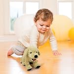 Golden Retriever Animaux farcis, jouets en peluche pour chien puppy doux, cadeaux en peluche farcie pour bébé pour enfants, Beige, 12"