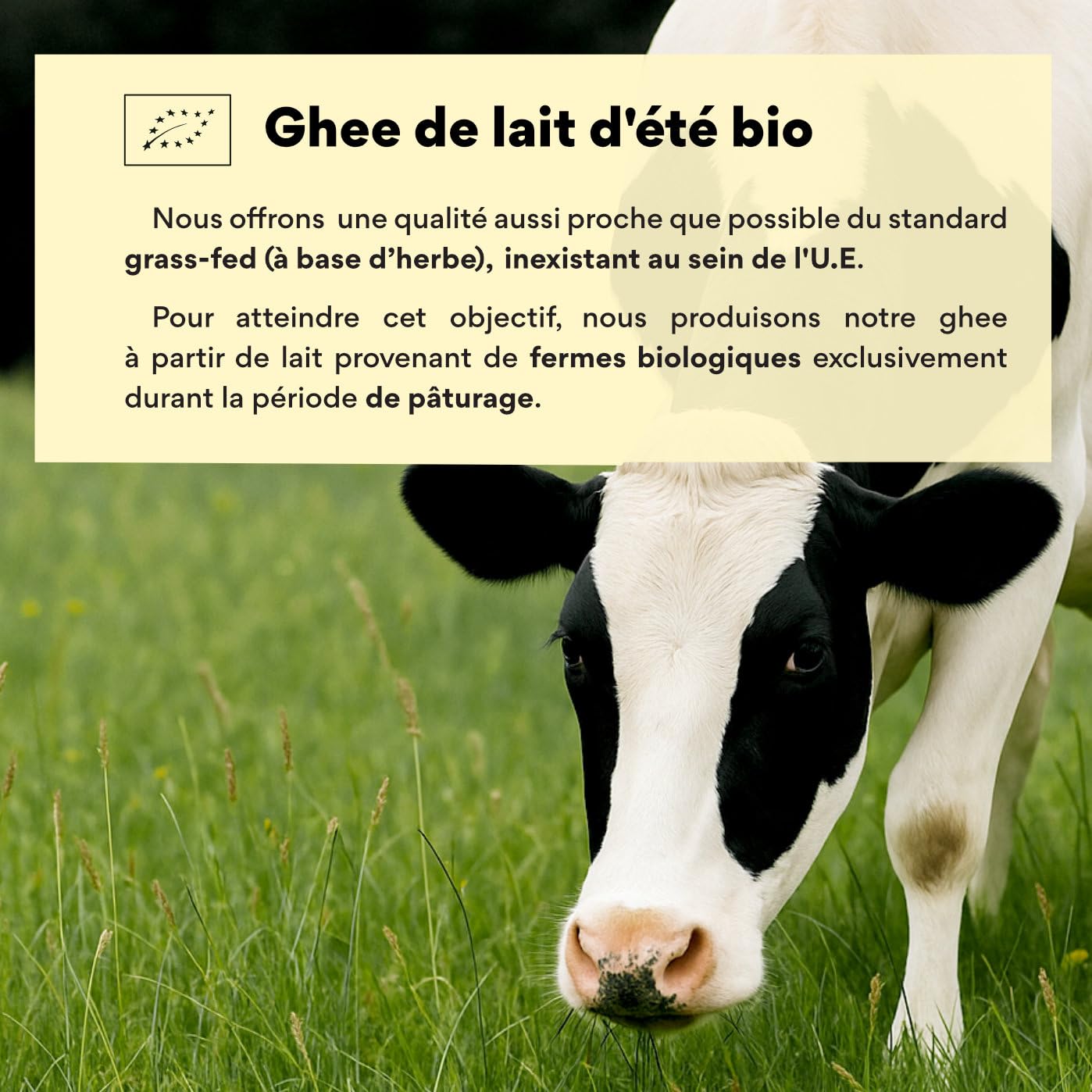 Nutribe Ghee 500g | Beurre clarifié Bio | Nourries à l'herbe | Idéal pour cuire, café bulletproof