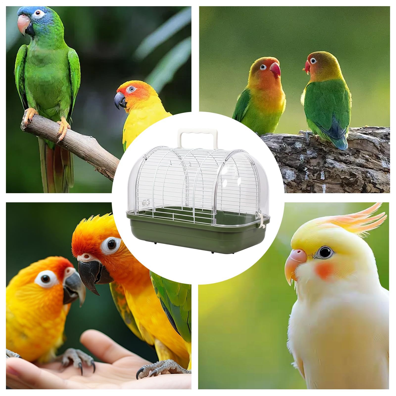 Cage De pour Oiseaux De Compagnie Nid avec Perchoir Debout Et Fenêtre