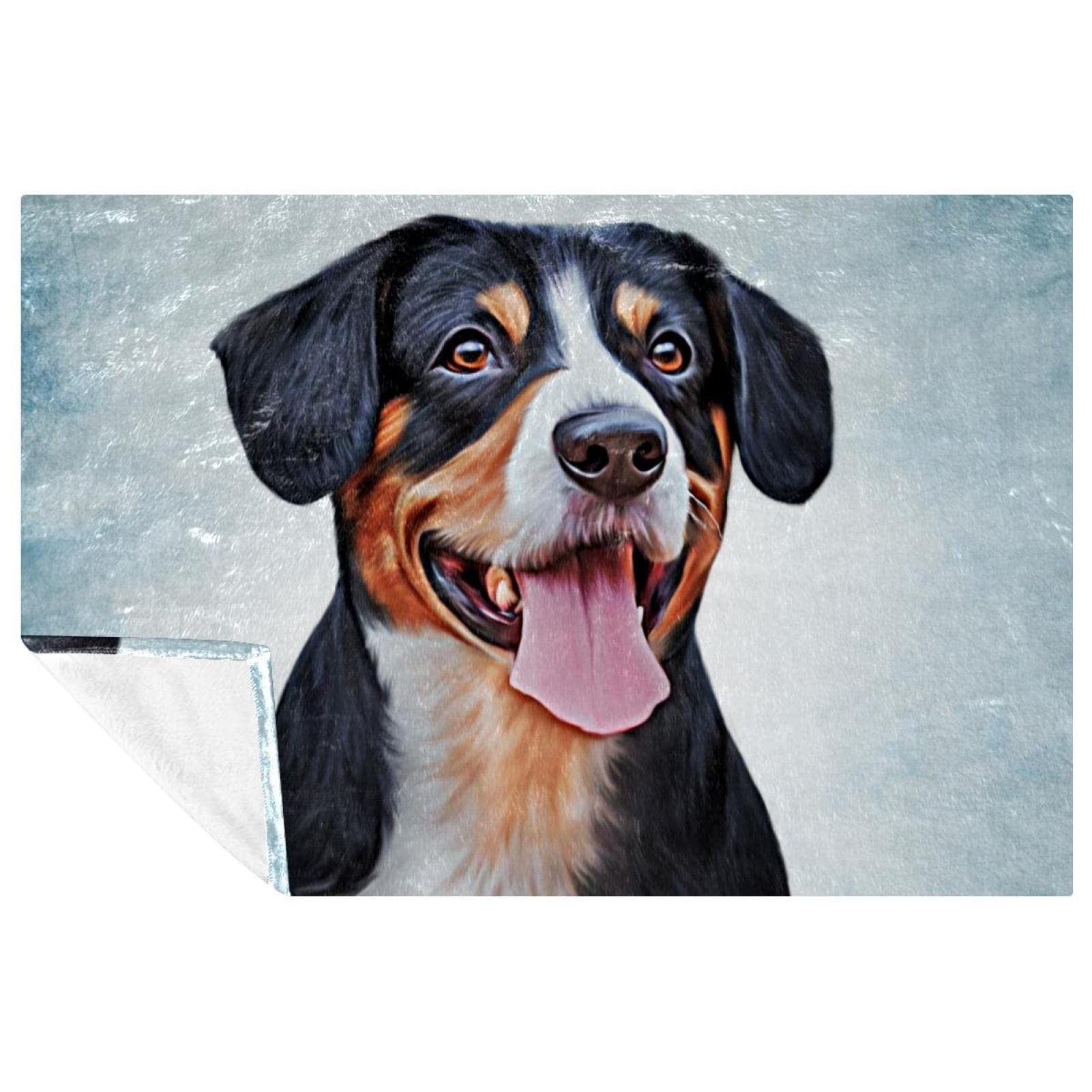 Couverture chaude Entlebucher fini les soirées froides sur le canapé