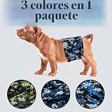 Ver la foto 4